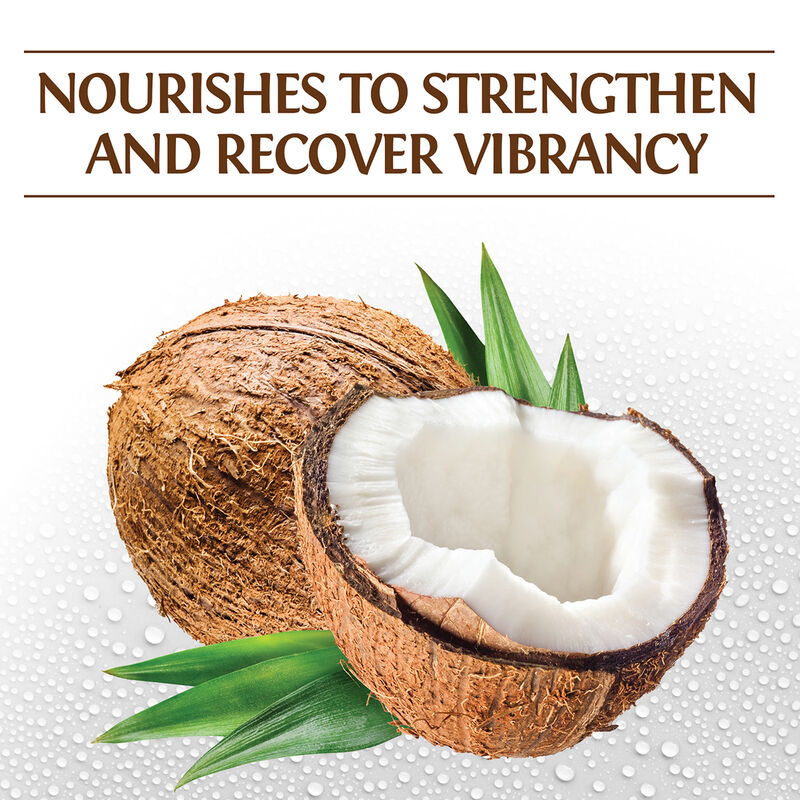 Silk Therapy With Natural Coconut Oil Moisturizing Conditioner, , large image number null